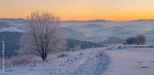 Extremely frosty mountain landscape at sunrise.Pieniny mountain Poland