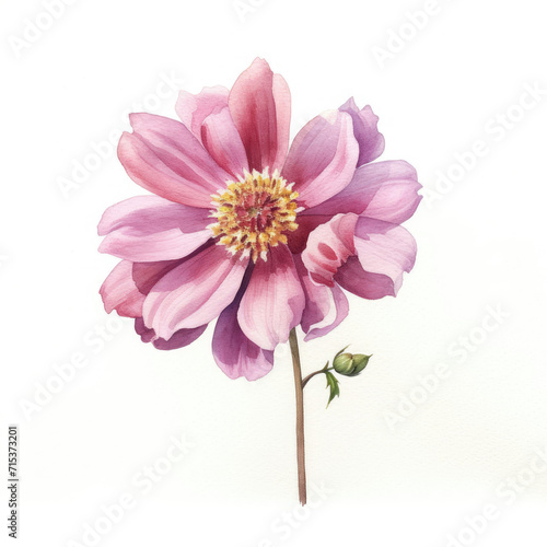 Vibrant Pink Flower Painting on White Background