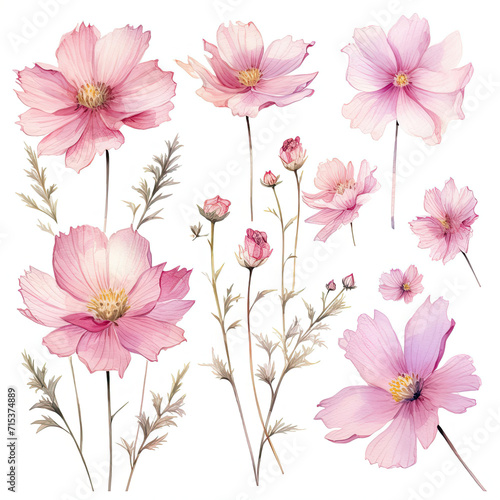 Bunch of Pink Flowers on White Background - Exquisite Floral Display © Paulina