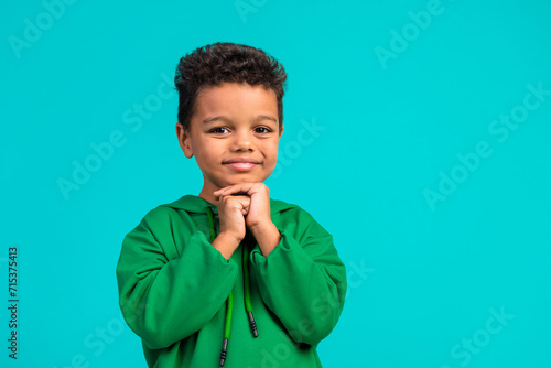 Photo of adorable pleasant schoolboy with wavy hair dressed green pullover hold hands under chin isolated on teal color background