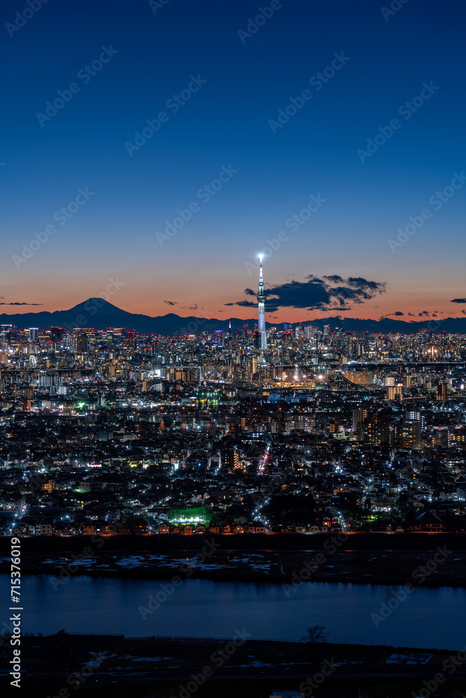 Fototapeta premium Cityscape of greater Tokyo area with Mount Fuji and Tokyo skytree at magic hour (Vertical)