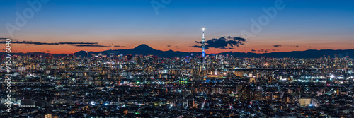 Cityscape of greater Tokyo area with Mount Fuji and Tokyo skytree at magic hour. 