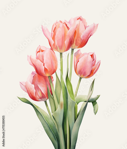Women s Day. Greeting card with tulips. Vector illustration.