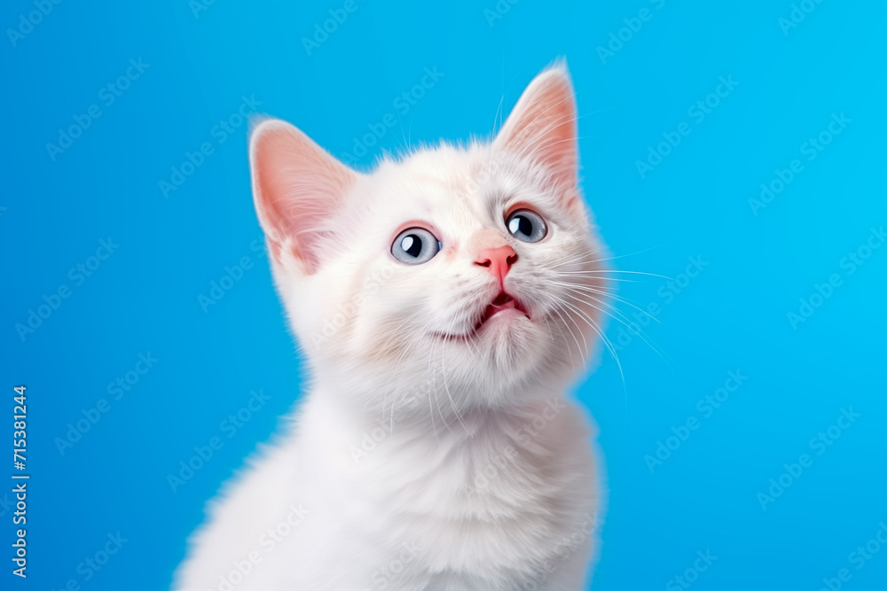 Portrait of a cute white kitten on a blue background. Generated Ai Portrait of a cute white kitten on a blue background. Generated Ai