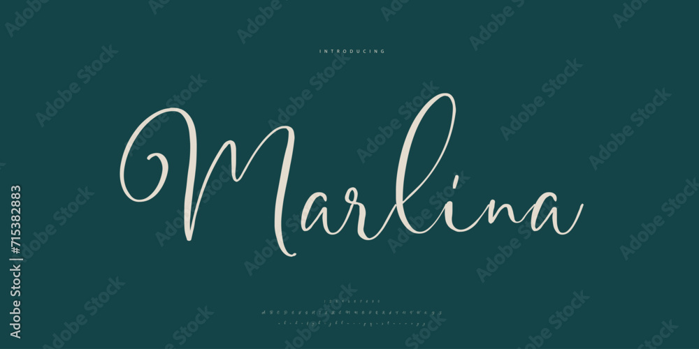 Abstract Fashion font alphabet. Minimal modern urban fonts for logo, brand etc. Typography Calligraphy typeface uppercase lowercase and number. vector illustration
Abstract Fashion font alphabet. Minimal modern urban fonts for logo, brand etc. Typography Calligraphy typeface uppercase lowercase and number. vector illustration