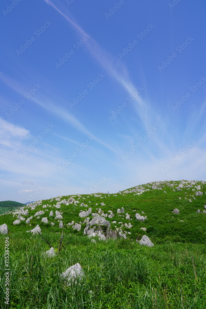 Obraz premium 山口県秋吉台 Akiyoshidai