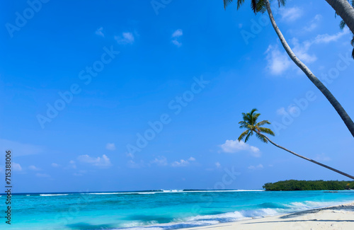Fototapeta Naklejka Na Ścianę i Meble -  Summer palm tree  and Tropical beach with blue  of seashore background