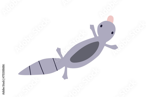 Duck-billed platypus, cute Australian animal. Funny exotic tropical mammal, A...