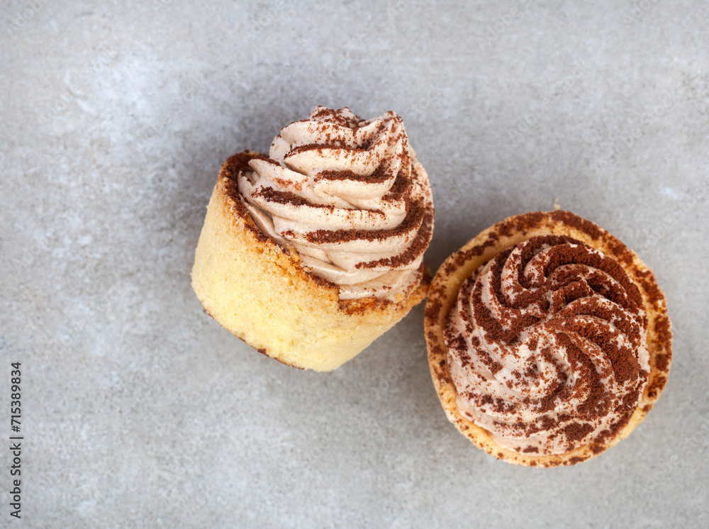 Two mini tiramisu tartlets on mottled grey, sprinkled with cocoa. selective focus. Copy space Two mini tiramisu tartlets on mottled grey, sprinkled with cocoa. selective focus. Copy space