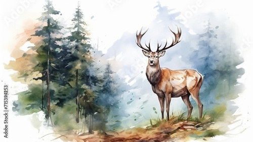 A large deer in a spruce forest. water color painting technic © Rames studio