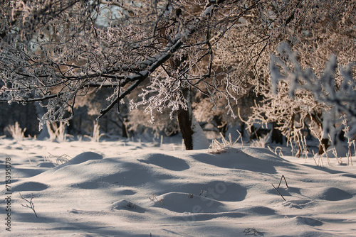 Winterlandschaft - Winter landscape photo