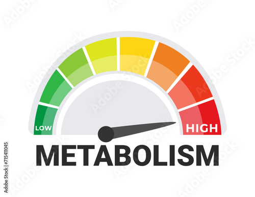 Metabolic Rate Measurement Concept with a Vivid Metabolism Meter Indicating Levels from Low to High
