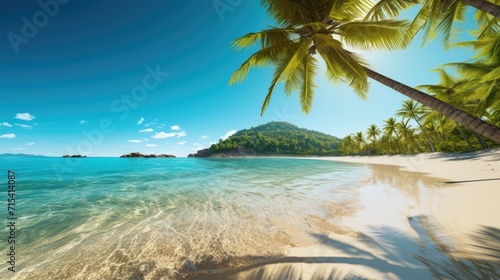 Tropical beach paradise with clear ocean water and palm trees. Travel and nature.
