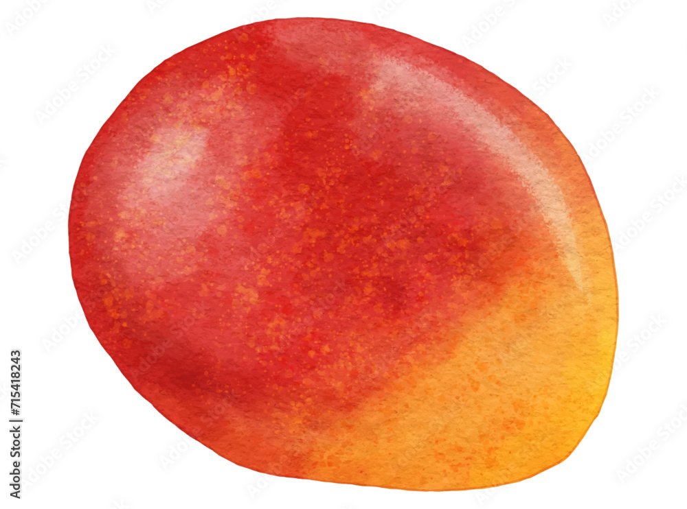 Obraz premium みずみずしいリアルなマンゴー1個