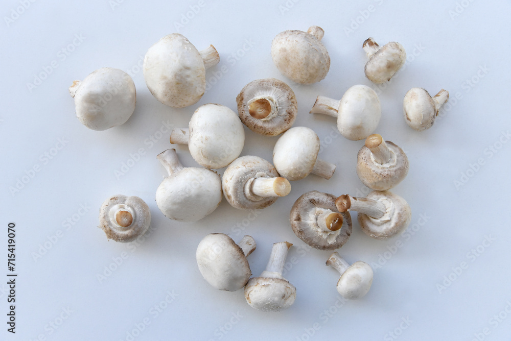 Background of many champignon mushrooms. Top view. Fresh mushrooms at the market. Store background. Healthy food. Images of vegetable products.