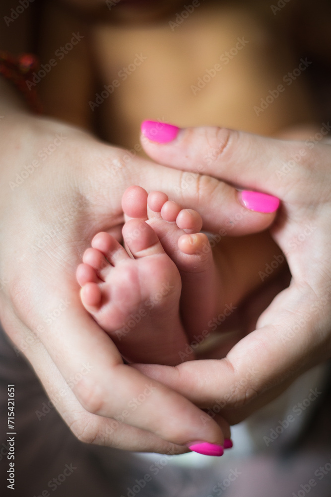 newborn baby feet in mom's hands newborn baby feet in mom's hands