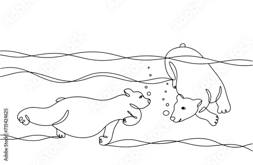 Polar bear. Bear. Pair. Swim