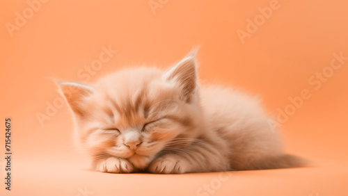 A fluffy ginger kitten sleeps peacefully on peach fuzz color minimal background. Modern trendy tone hue shade