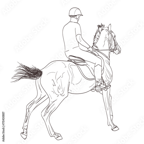 Fototapeta Naklejka Na Ścianę i Meble -  horse rider line art hand drawn illustration. equestrian sport training theme. vector