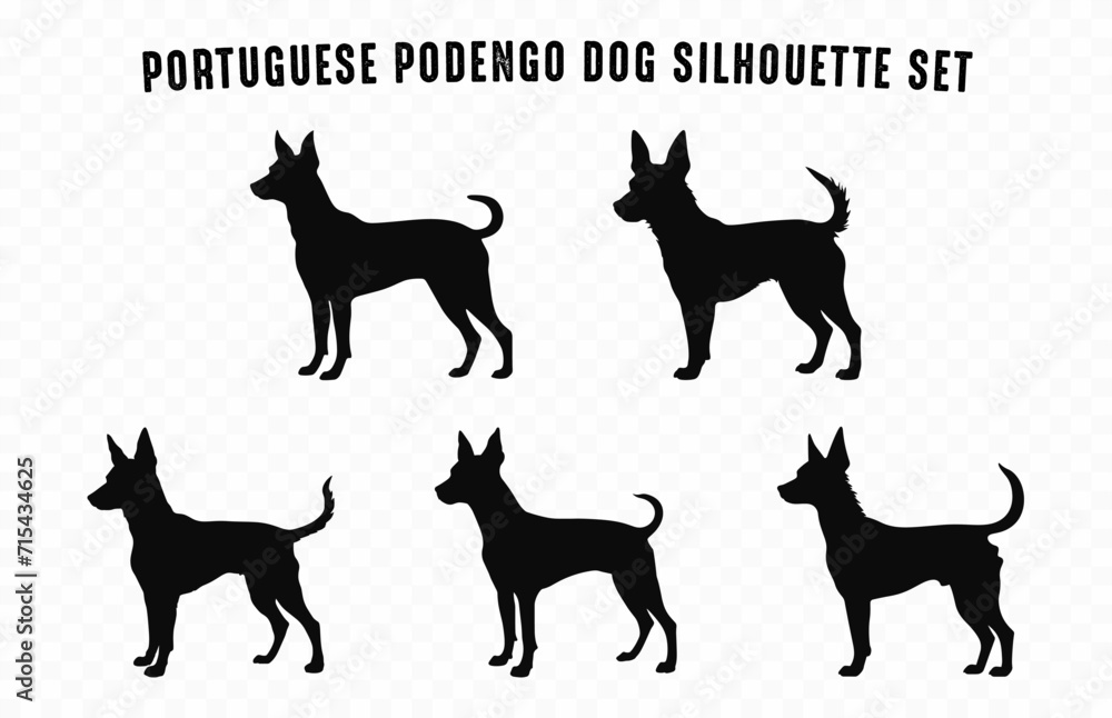 Portuguese Podengo Dog Silhouettes vector Set, Dogs breed Black Silhouette Bundle