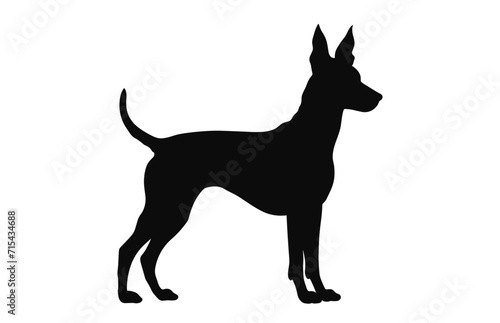 Portuguese Podengo Dog Silhouette black vector free
