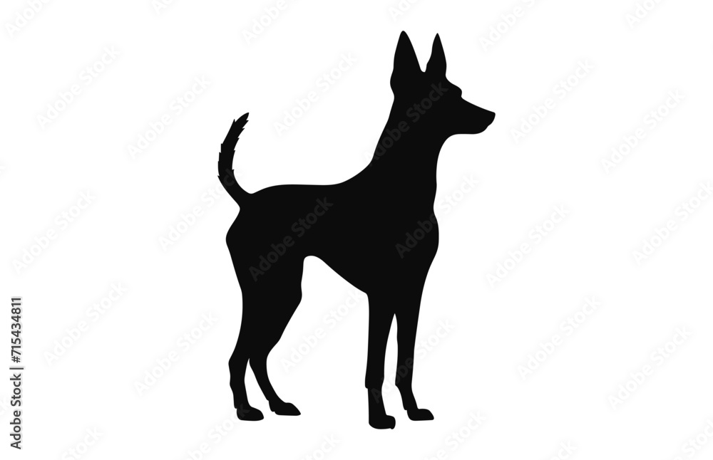 Portuguese Podengo Dog black Silhouette vector isolated on a white background