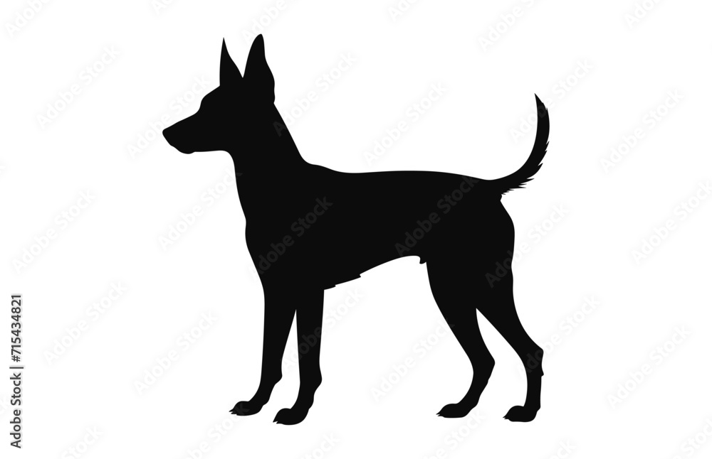 Portuguese Podengo Dog black Silhouette vector isolated on a white background