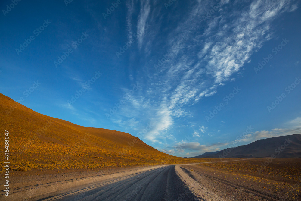 Fototapeta premium Road in Bolivia