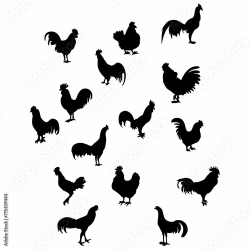 black male and female chicken silhouette