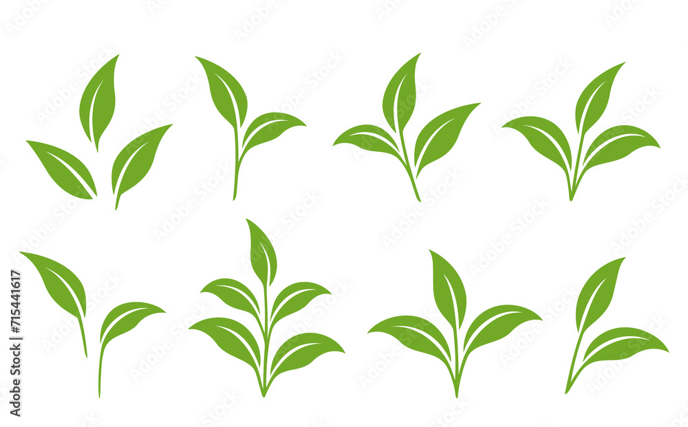 Naklejka premium set of green branches with leaves, plant sprout, plants twigs and sprig