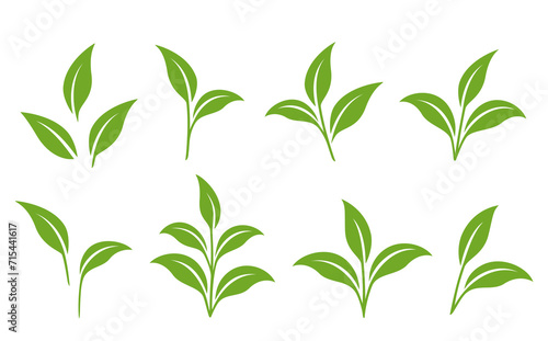 set of green branches with leaves, plant sprout, plants twigs and sprig photo