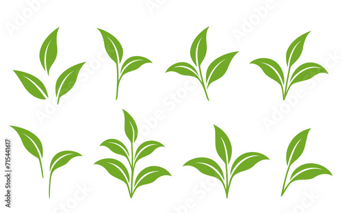 set of green branches with leaves, plant sprout, plants twigs and sprig