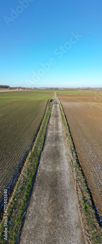 This vertical image provides a striking perspective of a rural road that runs directly between two contrasting agricultural fields. To the left, the field appears to be freshly sown with crops, marked photo