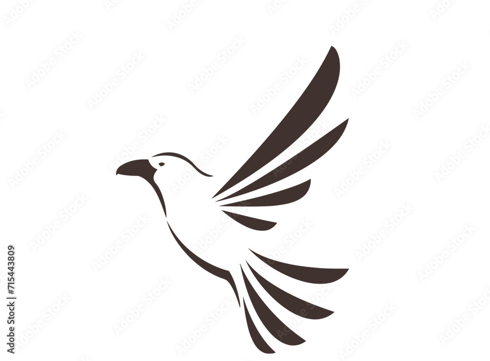 dove of peace dove of peace
