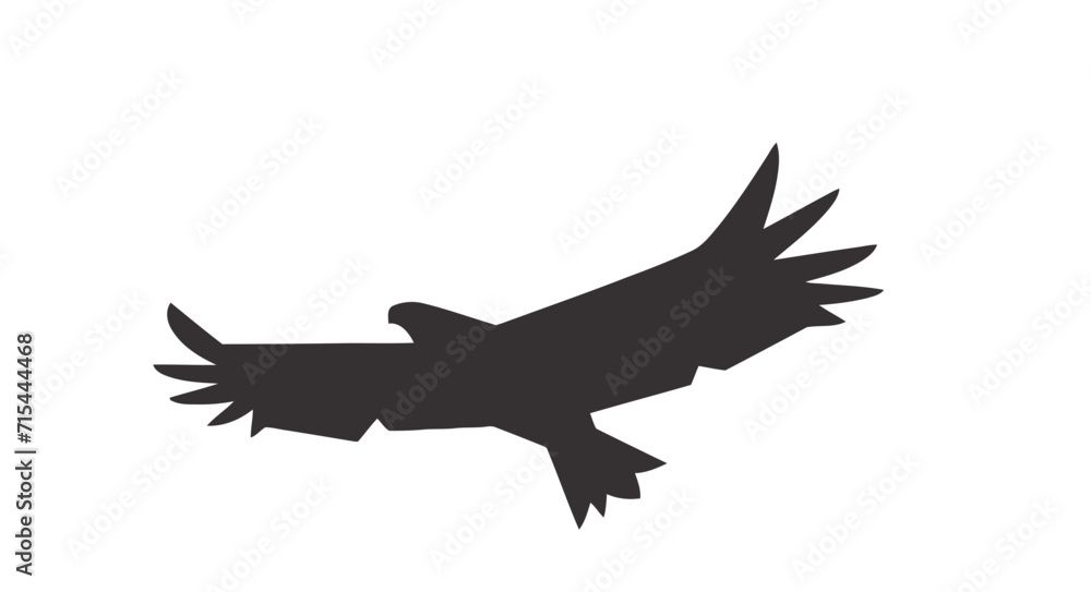 bird flying bird flying