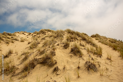 A solitary sand dune covered in grass on a cloudy day. photo