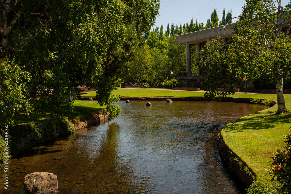 Fototapeta premium A tranquil stream meanders through a picturesque park, enveloped by a vibrant tapestry of green foliage, creating a peaceful and idyllic scene.
