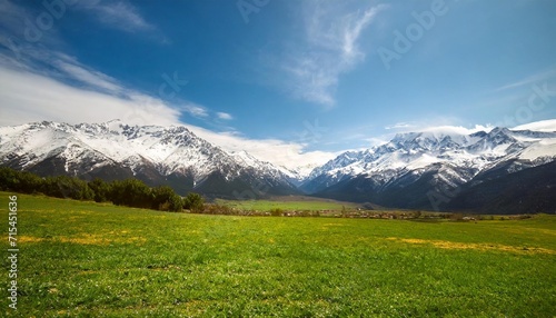 landscape featuring a green meadow and snowy mountains