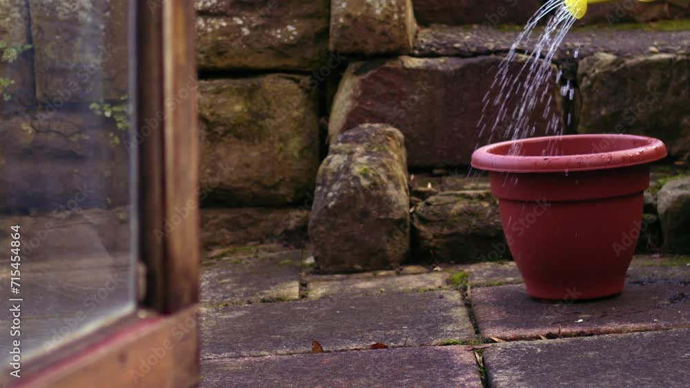 Gardener watering bulbs in a plant pot Gardener watering bulbs in a plant pot
