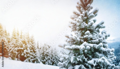 snowy christmas tree on a winter background with copyspace close up