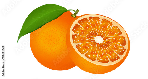 orange with leaf vector