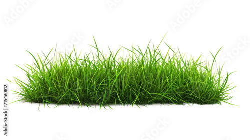 Green grass on transparent background.  Spring or summer plant lawn