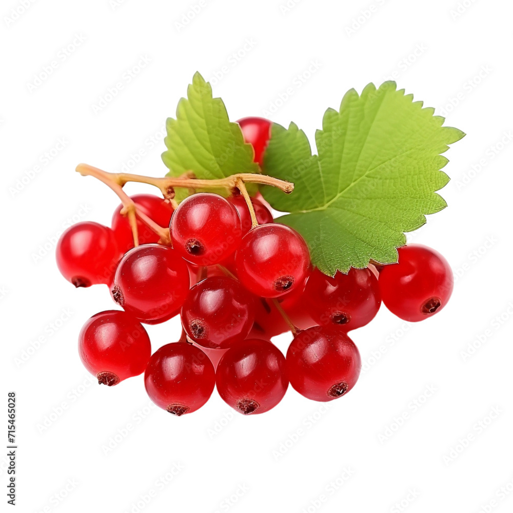 Red currant with leaves isolated transparent, Generative AI