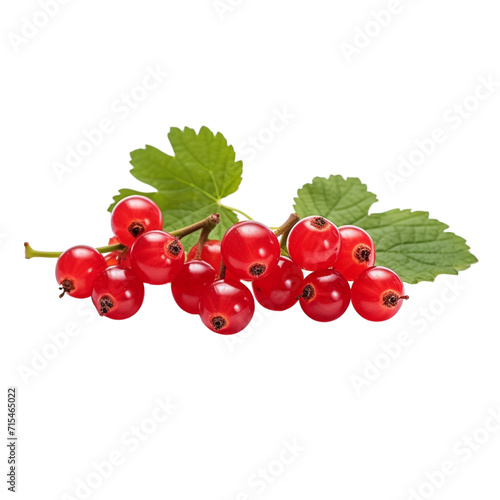 Red currant with leaves isolated transparent, Generative AI
