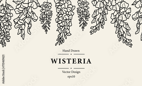 Line art wisteria flowers background