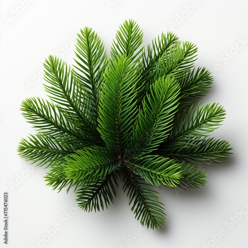 Christmas tree isolated on white