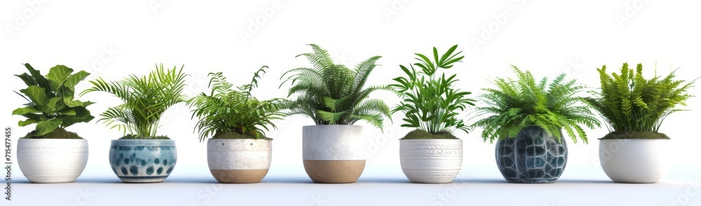 flower pot on a white background