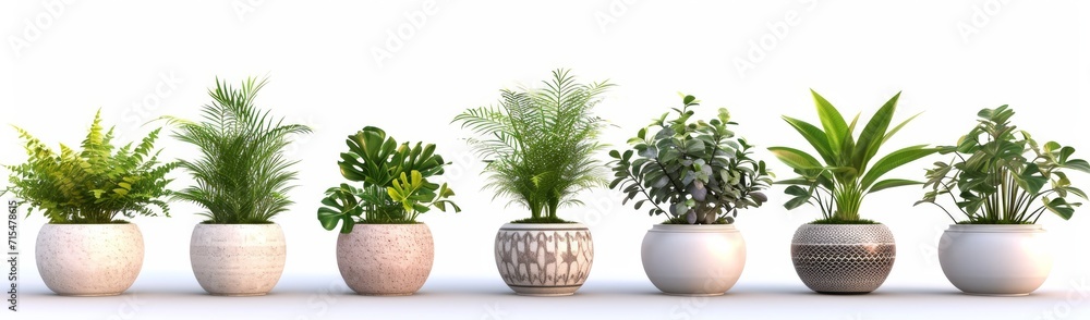 flower pot on a white background flower pot on a white background