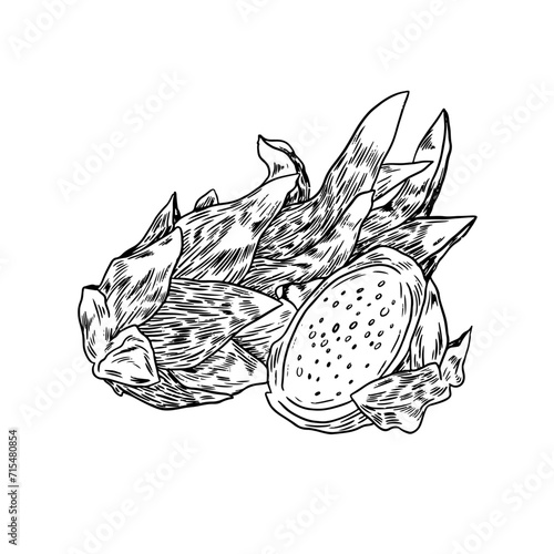 Illustrations Vecteur Fruit du dragon