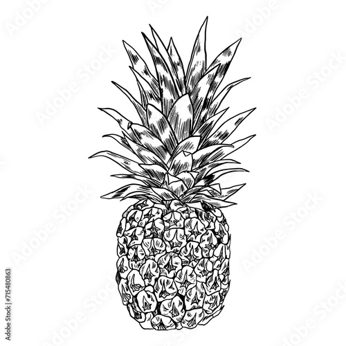 Illustration Vecteur Ananas